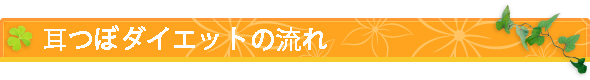 耳つぼダイエットの流れ